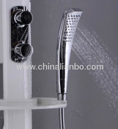 aluminum shower panel B7028