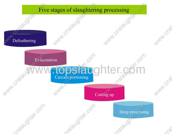 Each flowchart of slaughter processing