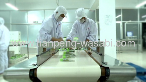 Japanese Fresh Wasabi Paste in tube 43g