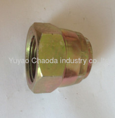 BSP FEMALE 60° CONE PLUG