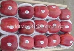 fresh red huaniu apple