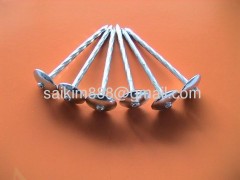 Gal. Roofing Nails,Twisted shank,Umbrella Head