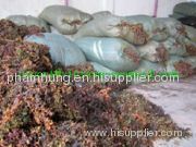 Sargassum Seaweed Raw Material