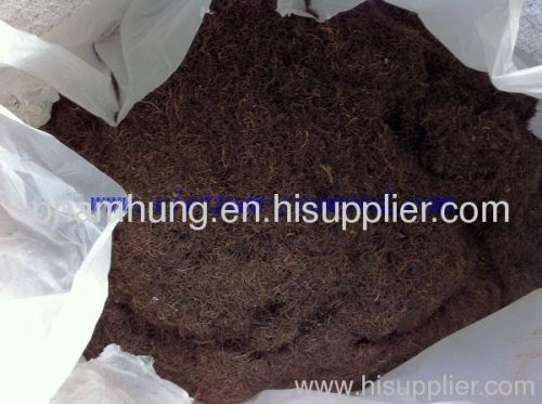 Dried Gracilaria seaweed extract agar agar