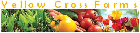 Yellow Cross Farms Limited