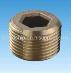 Brass Plug for Water Heaters