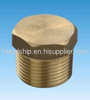 Brass Plug for Water Heaters