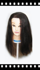 china wholesale new product mannequin part mannequin head
