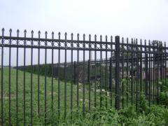 Ornamental Steel or Aluminium fence