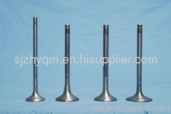 engine valves for perkins