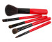 Promotional 5pcs makeup brush set