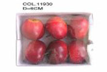 2013 artificial fruit red apple