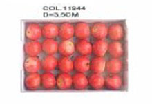 2013 artificial fruit little red apple