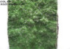Artificial Imitation fake synthetic faux decorative moss