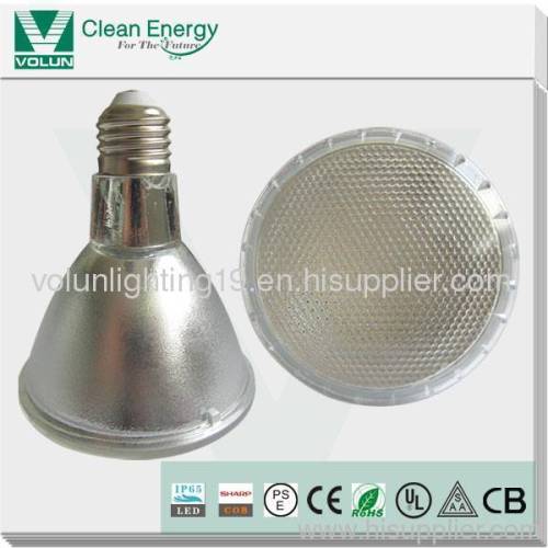 SMD LED PAR38 LAMP