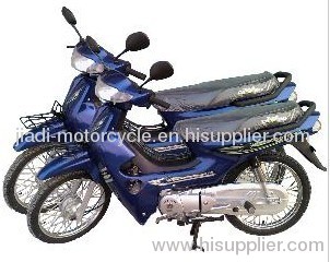 4-stroke Gasoline Motorcycle (JH110,JD110)