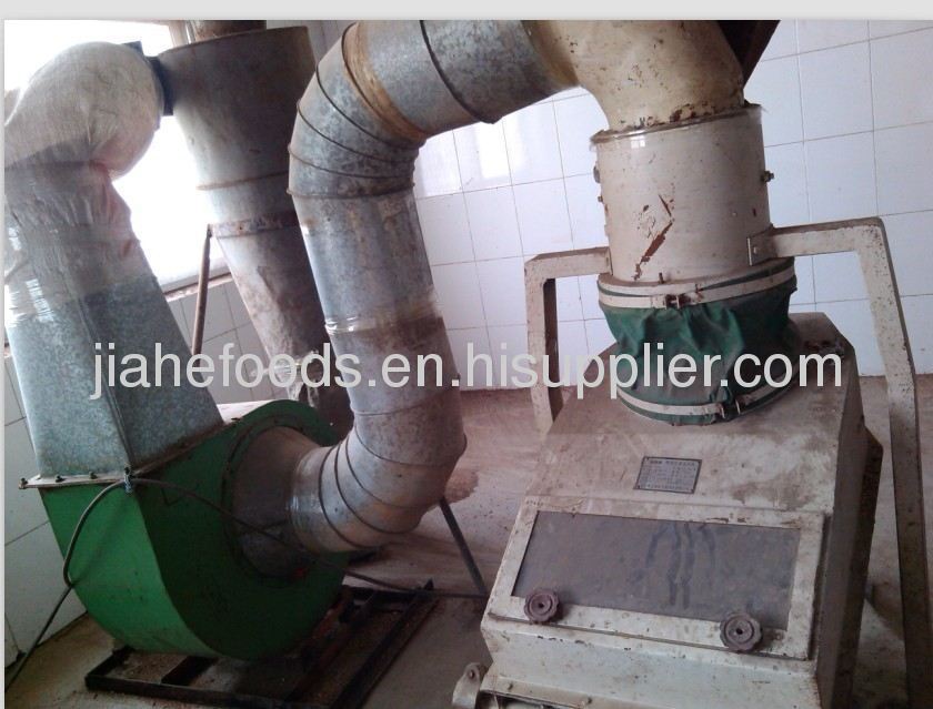 stoning machine used in dehydrated vegetable factory
