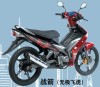 Electric Starter City Motorcycle