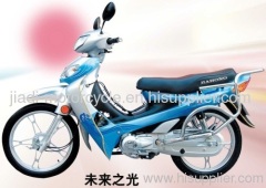Fashionable chopper motorcycle 110cc
