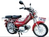 Moped 2 wheel motorcycle JH30-1