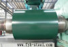 coated ppgi steel coils