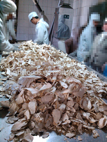 2013 crop horseradish powder export to South korea