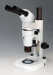 Zoom Stereo Microscope with Infinity Parallel Optical System