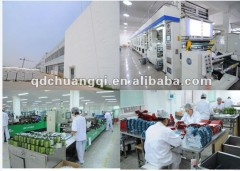 Qingdao Chuangqi Packing Co.,Ltd