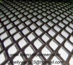 Stainless Steel Expanded Metal Mesh