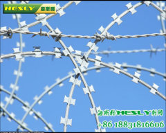 HESLY Hot Dipped Galvanized Razor Wire Tape