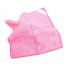 30cm x 30cm All Purpose Microfiber Cloth