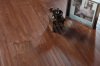 Manchurian Walnut Wood Flooring