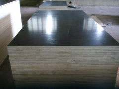 black film faced plywood