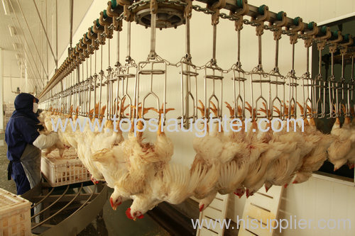 Chicken slaughter equipment conveyor