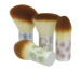 Beautiful Kabuki brush Set