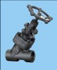 forged steel Y type globe valve