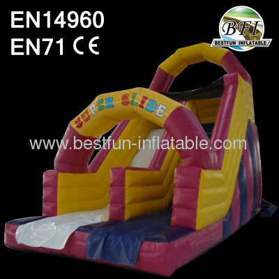 Commercial Pink Inflatable Dry Slide