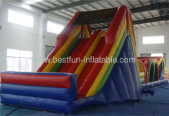 Giant Inflatable Adult Slide