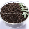 Humic Acid Granular (55-60%)