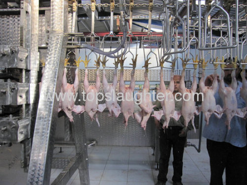 Chicken processing equipment chicken plucking machine