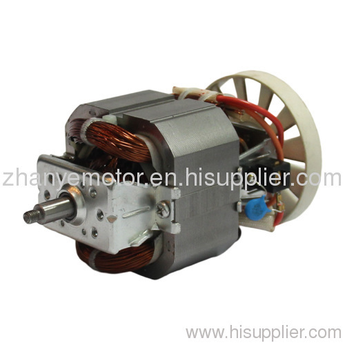 AC universal electric motor