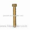 Special Metal Screws, Brass Hardware Screw Threaded Metal Fastener ISO, DIN, JIS, BS, ANSI Standard