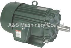 Toshiba Three Phase Motors