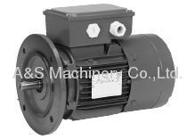 US High Output Motor