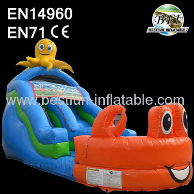 Inflatable Wet Dry Slide