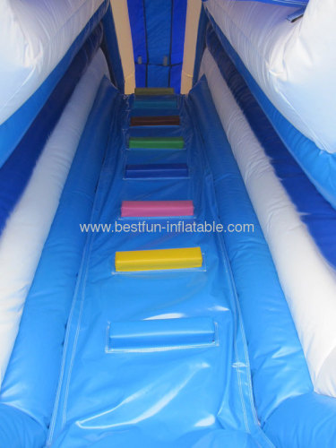 Giant Double Tube Water Slide