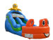Inflatable Wet Dry Slide