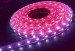 waterproof 60W Led strip for building decoration
