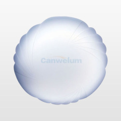 Modern Ceiling Light----Silvery Moon Disc Brightens Your Life!