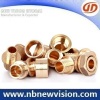 Brass Pipe Thread Fitting